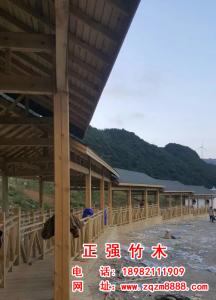 木長廊  1