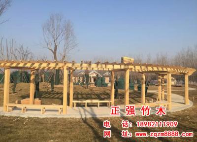 木長廊  5