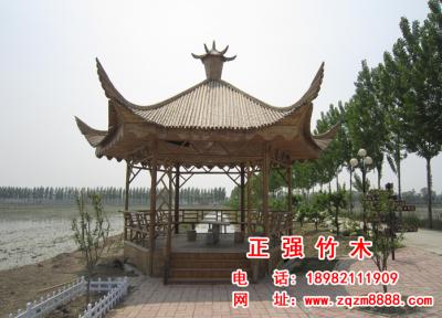 竹亭子  14