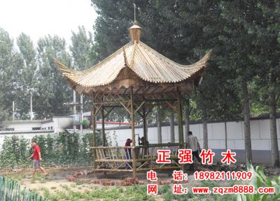 竹亭子  15