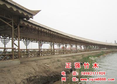 竹長廊 4