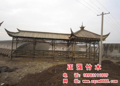 竹長廊 8