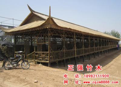 竹長廊 9