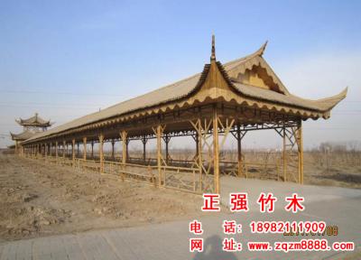 竹長廊 10