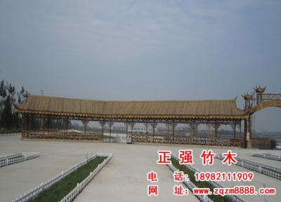 竹長廊 11