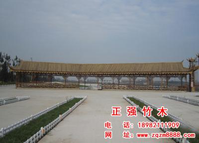 竹長廊 12