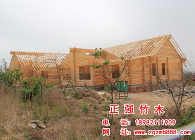 現(xiàn)場  13